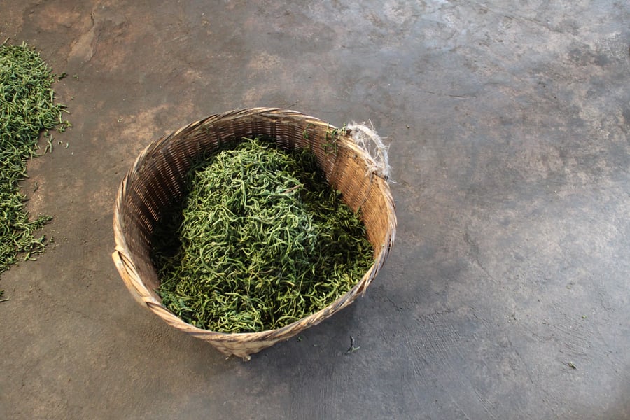 bright green tea leaves in a brown burlap sack