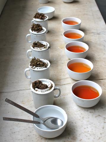 A row of black tea for cupping